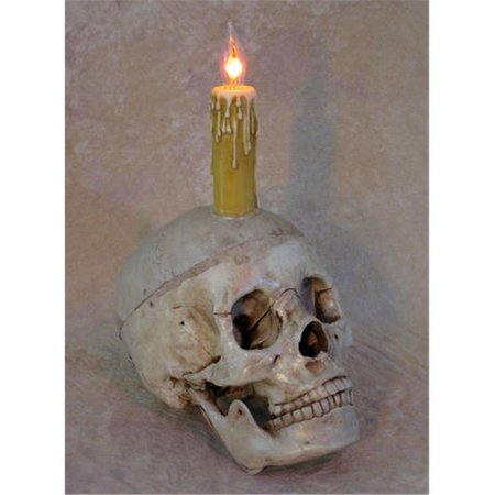 PERFECTPRETEND Skull Display with deluxe Candle PE1413035
